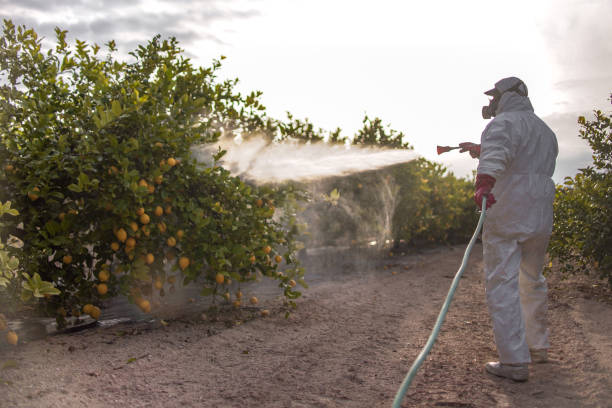 Best Residential Pest Control  in Eureka, MT